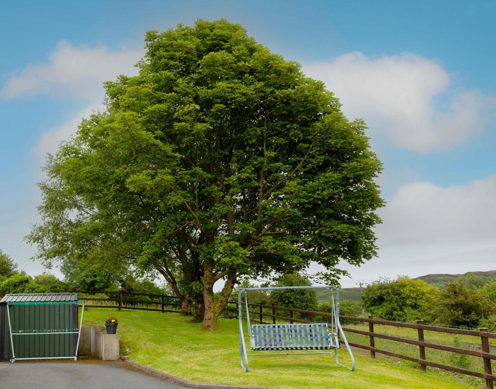 Apartmán Mountain Nest At The Foot Of Slieve Gullion Cloghoge Exteriér fotografie